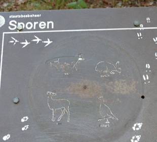 Lehrtafeln