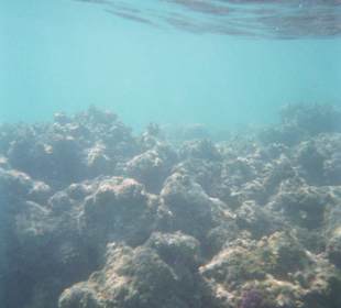 Unterwasser - einfach herrlich 