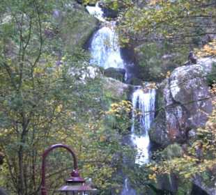 Triberger Wasserfälle