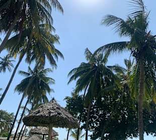 Gartenanlage Neptun Hotel 