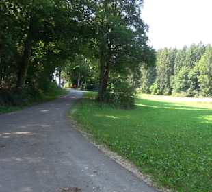 Sternberg