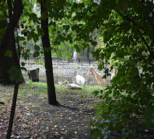 Zoo