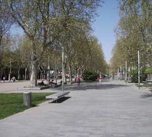 Paseo