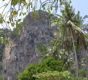 Im Inneren der Insel Rai Leh