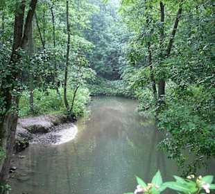 Die Düssel im Neandertal an der Winkelsmühle