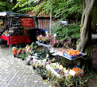 Bauernmarkt im Kreismuseum