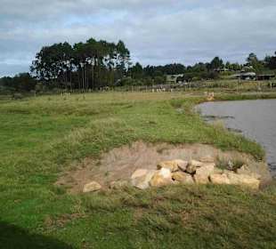 Knynsa Elephant Park