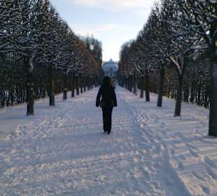 Дворцовый парк