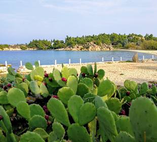 Rundreise Chalkidiki