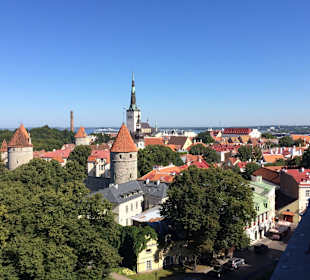 Таллин с высоты 