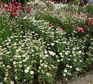 Impressionen aus dem Park der Gärten