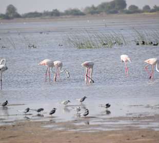 Gemeinschaft am Salzsee