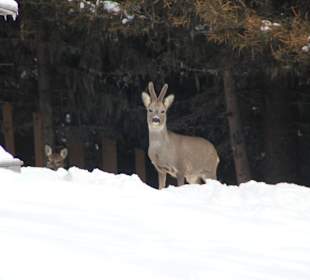 Wandern St. Sigmund im Sellrain