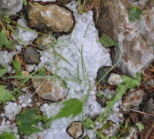 Taurus wieder zurück