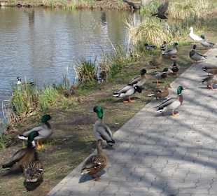  Zoologischer Garten Kaiserslautern