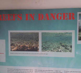 Fahrradausflug in die Wüste