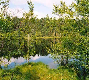 saurer See im Wigierski Park