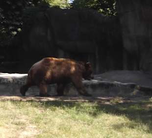 Tierpark Hagenbeck