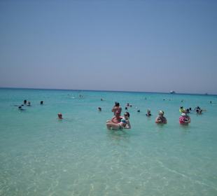 Giftun Insel , wunderbar