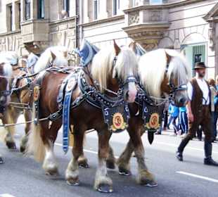 Tucher Brauerei Fürth 6er Span