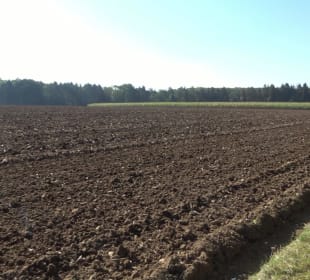 Kelten-Erlebnis-Pfad Erkenbrechtsweiler