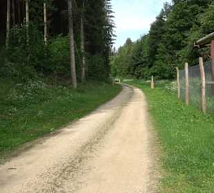 Phäno-Pfad Aichstetten