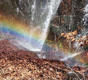 Wandern Bad Harzburg