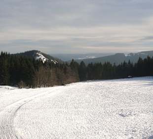 Blick vom Schneekopf