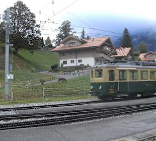 Wengernalpbahn Grindelwald