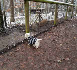 Gibt es da noch was?