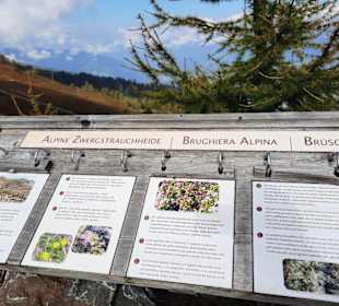 Beschreibungen der Natur