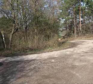 Hirschauer Spitzbergwegle (Premiumspazierwanderweg