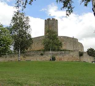 Die Burg am Steinsberg 