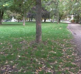 Monbijoupark