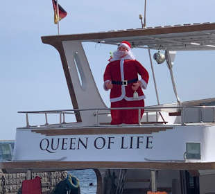 Schnorchel-Bootstouren mit dem Queen of Life Boot 