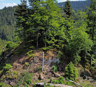 Ruine Wittichenstein Wittichen