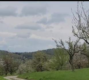 Wanderstrecke Mössinger Streuobstwegle