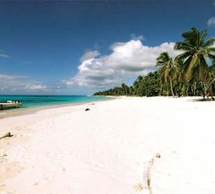 Isla Saona