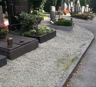 Haupt- und Waldfriedhof