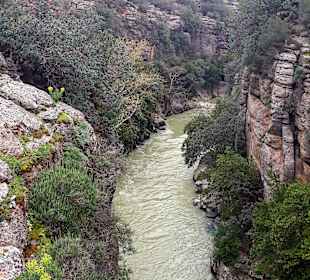 Ausblick auf den Fluss 