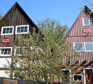 Café und Weinstube am Kloster