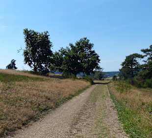 Fast am Ziel