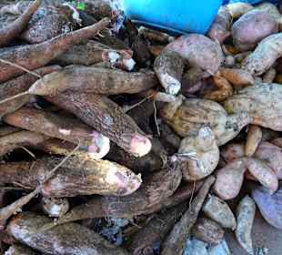 Rundgang über den Wochenmarkt von Saint-Paul