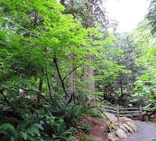 Shannon Falls Provincial Park