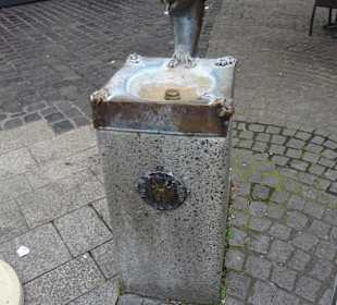 Stadtrundgang Würzburg