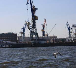 Am Hafen von Hamburg