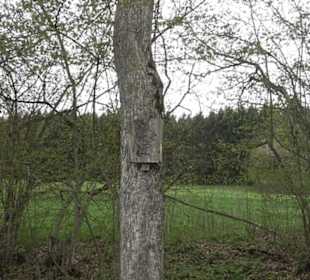 Wanderweg Kunst der kleinen Schritte