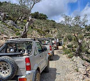 Jeep Safari Can Picafort