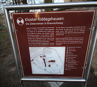 Beschreibung