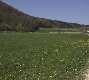 Waldlehrpfad an der Lauter